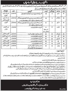Director (Admin), Social Welfare & Bait-ul-Maal Department