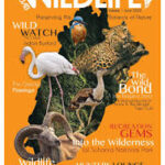 Punjab Wildlife and Parks Department
