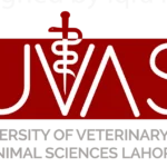 University of Veterinary & Animal Sciences jobs